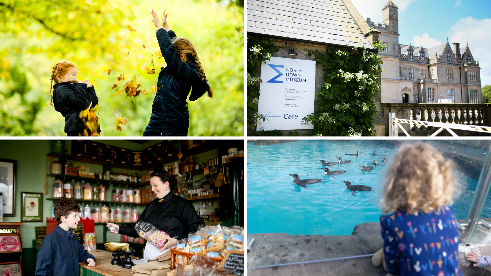 A collage of four images representing family fun in the borough